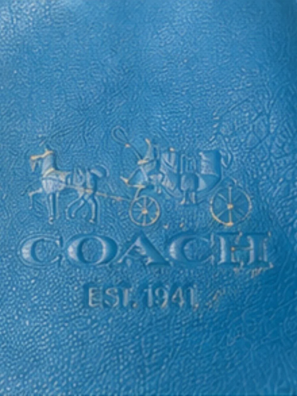 Coach Edi Horse & Carriage Embossed Leather Shoulder Bag